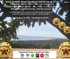 EAGLEHAWK Street Handball  2023 Special Price